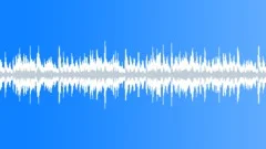 Festive Symphony (Loop)Stock Music