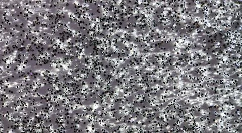 Festive template in banner format, background in the form of a set of silver Stock Photos