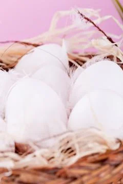 Festive traditional easter egg decoration ribbon and tulips Stock Photos