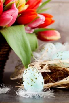 Festive traditional easter egg decoration ribbon and tulips Stock Photos