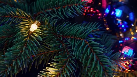 Festive Tree Lights in Cozy Blur Video stock 318736535