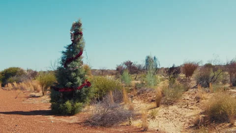 Festive tree stands alone in desert Stock-Footage 326022197
