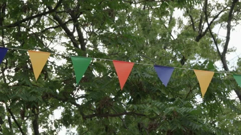 Festive triangular flags of different colors on rope against background of gr Stock Footage 208826129
