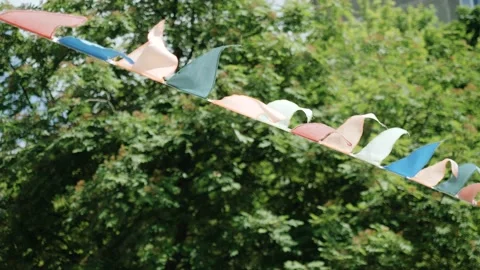 Festive triangular flags different colors on rope against background green trees Stock Footage 226906504