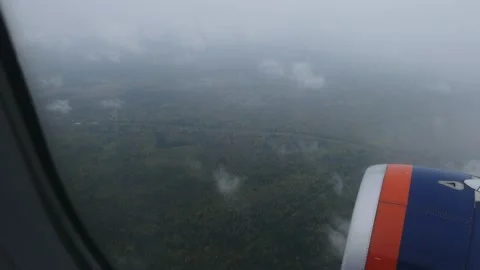 Festive vacation background. Airplane wing flying over the forest in the blue Stock Footage 166313202