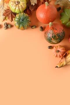 Festive vertical composition of pumpkins, colorful leaves. Thanksgiving Day.. Stock Photos