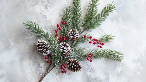 Festive Winter Pine Branches With Snow and Red Berries on White Background Stock Footage 294506110