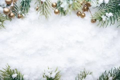 Festive winter setting with foliage, Wintry backdrop featuring conifer branches Stock Photos