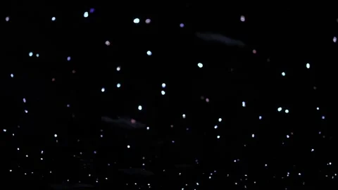 Festive yellow defocus light on dark background Stock Footage 245632258