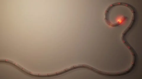 Festivity Lights Background Vesion 2 Stock-Footage 196285559