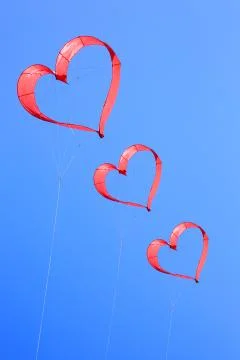 Festivity of the wind with sky filled with kite Stock Photos