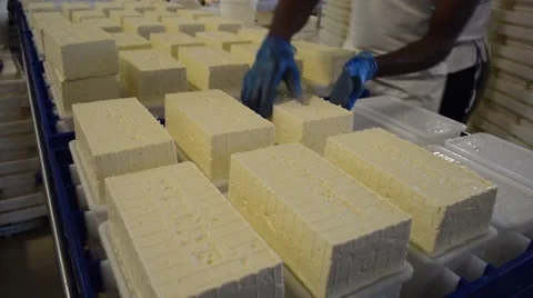 Feta cheese production Video stock 44504500