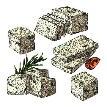 Feta cheese set sketch hand drawn vector Stock Illustration