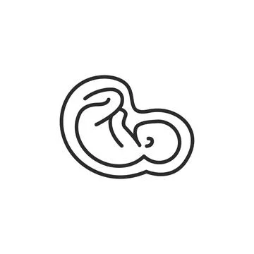 Fetal Development Icon Illustrazione stock