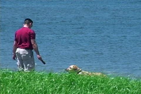 Fetch Stock Footage 137100