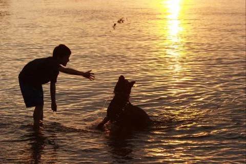 Fetch it! Stock Photos