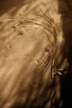 Fetish stuff in the sand Foto stock