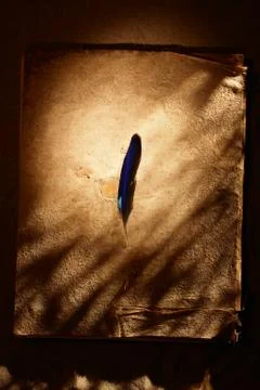 Fetish stuff in the sand Stock Photos