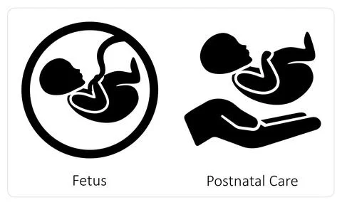 Fetus and Postnatal Care Stock Illustration