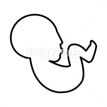 Fetus baby line icon. vector illustration isolated on white. outline style: Royalty  Free #93523126