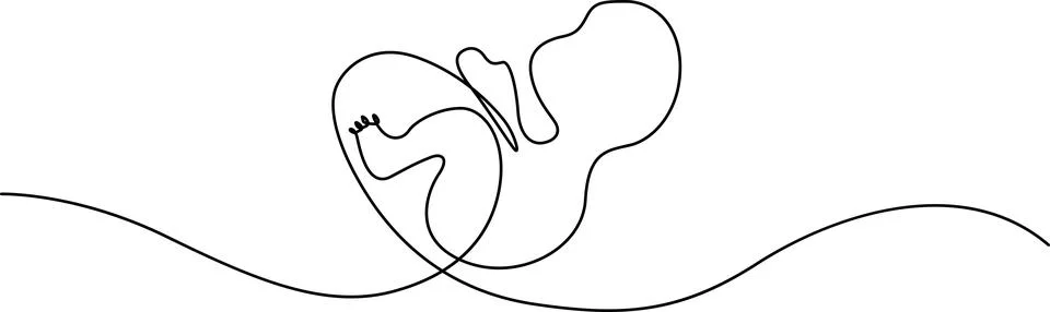 Fetus development illustration inside the womb with umbilical cord connecti.. Stock Illustration