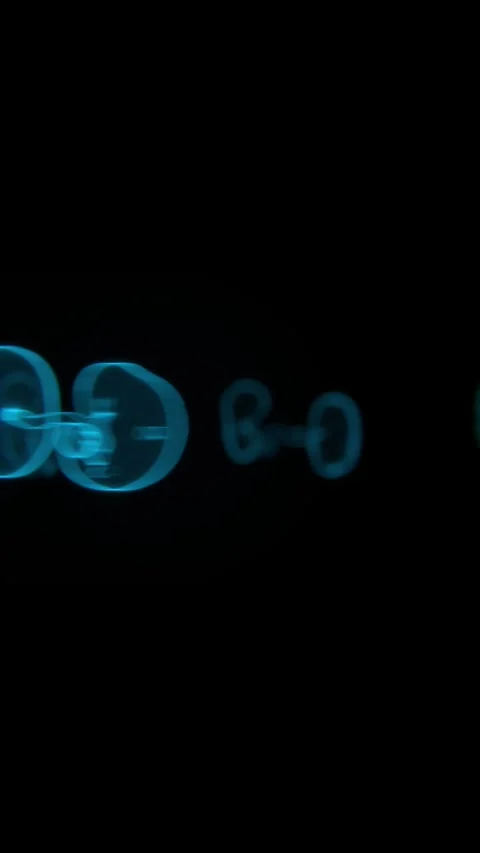 Fetus Development Stages and Embryo development Stages in Xray Video in Stock Footage 289332486