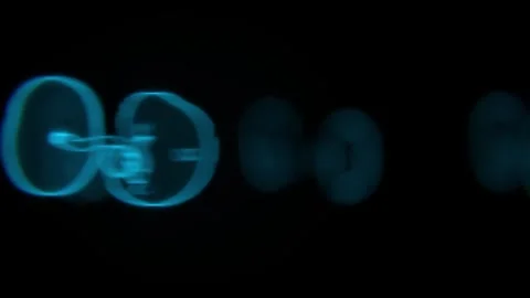 Fetus Development Stages and Embryo development Stages in Xray Video in 4K Stock Footage 289333211