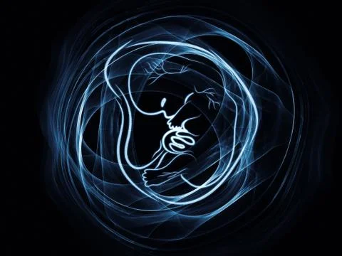Fetus Evolution 스톡 일러스트