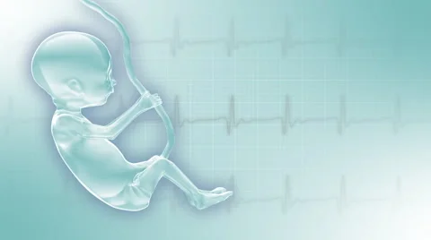 Fetus Stock Footage 908417