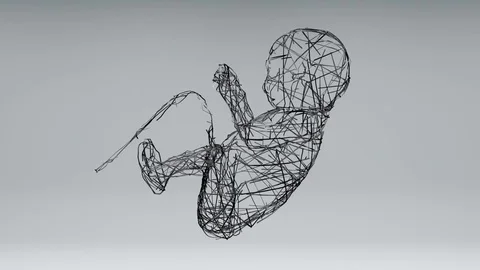 Fetus Growing in abstract network Stock Footage 83856356