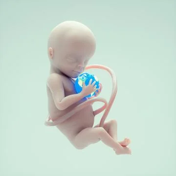 Fetus holding a earth globe. Stock Illustration