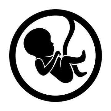 Fetus Icon Isolated on White Background Stock Illustration