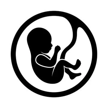 Fetus Icon Isolated on White Background Stock Illustration