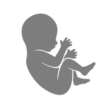Fetus Icon Isolated on White Background Stockillustratie