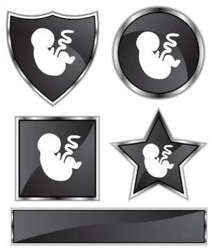 Fetus Stock Illustration