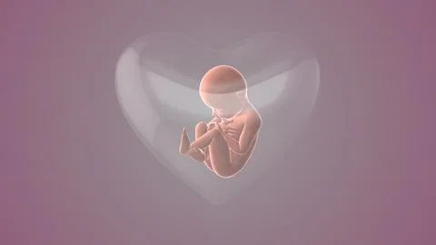 Fetus inside the heart shape of womb Stock Illustration
