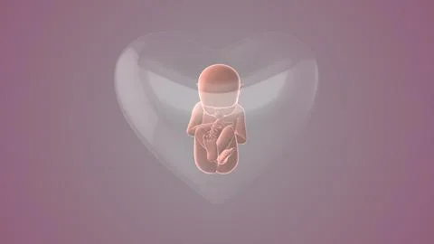 Fetus inside the heart shape of womb Stock Illustration