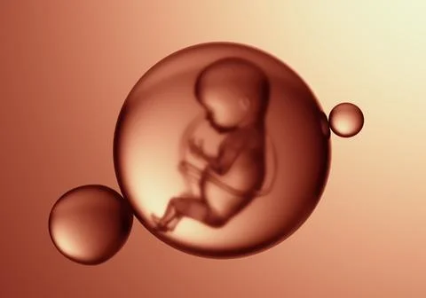 Fetus inside a sphere. Fertility and science concept. Illustrazione stock