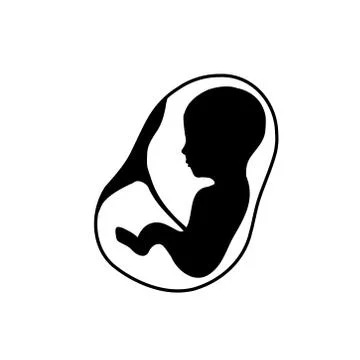 Fetus inside the womb with placenta attached Stock Illustration