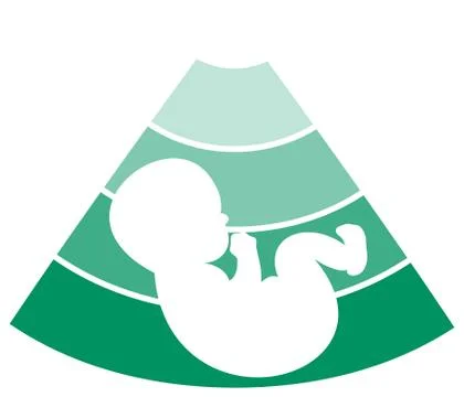 Fetus silhouette design Stock Illustration
