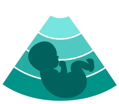 Fetus silhouette design Stock Illustration