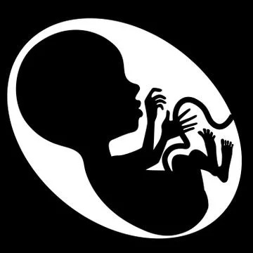 Fetus silhouette Stock Illustration