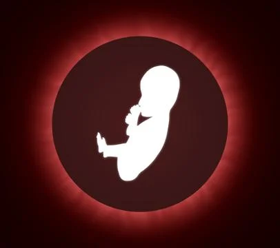 Fetus in womb Stock Illustration