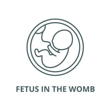 Fetus in the womb vector line icon, linear concept, outline sign, symbol Stock Illustration