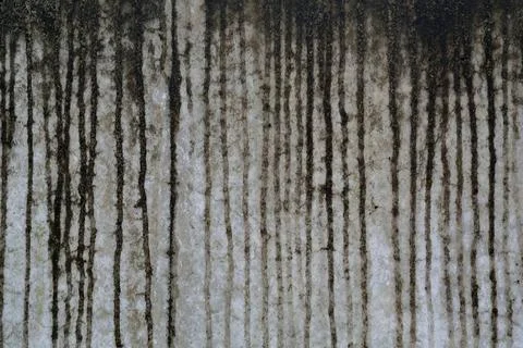 Feuchtigkeit linien auf einer weissen wand die durch den regen verursacht ... Stock Photos