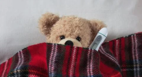 Fever, cold, flue concept. Cute teddy with a thermometer in bed, covered with Stock Photos
