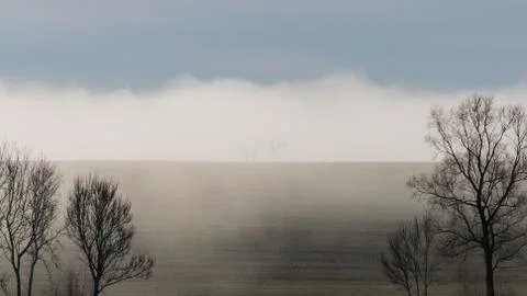 A few bare trees stand at the top of the hill in the fog Foto stock