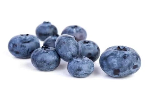 Few bilberries Stock Photos