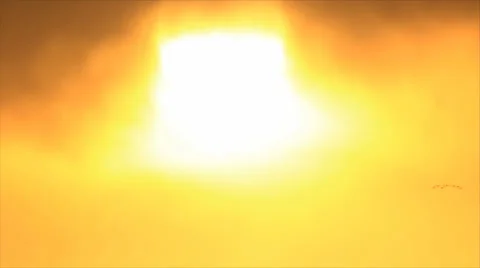Few birds flight on burning sky Stock Footage 33222149