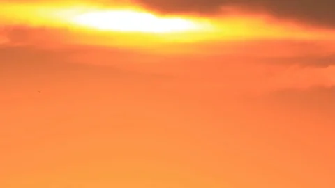 Few birds in sky Stock Footage 81490934